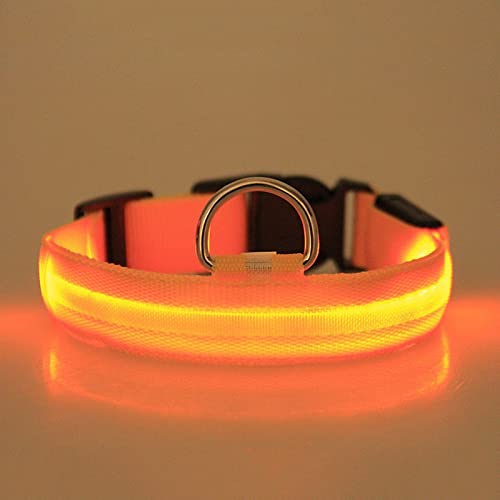 Rubu22a leuchthalsband Hund hundehalsband Leuchtend Hunde leuchthalsband Hund led Halsband für Hunde hundeleuchthalsbänder leuchthalsband leuchtband Hund (B2-Yellow, M) von Rubu22a