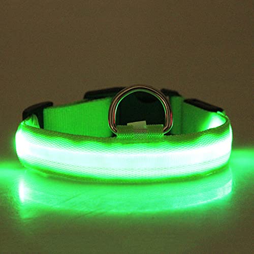 leuchthalsband Hund hundehalsband Leuchtend Hunde leuchthalsband Hund led Halsband für Hunde hundeleuchthalsbänder leuchthalsband leuchtband Hund (B2-Green, L) von Rubu22a