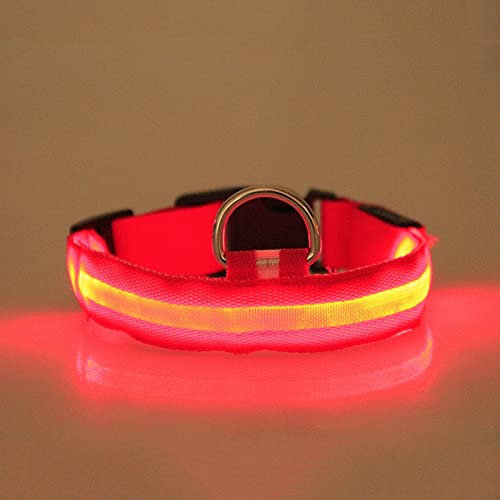 leuchthalsband Hund hundehalsband Leuchtend Hunde leuchthalsband Hund led Halsband für Hunde hundeleuchthalsbänder leuchthalsband leuchtband Hund (B2-Red, L) von Rubu22a