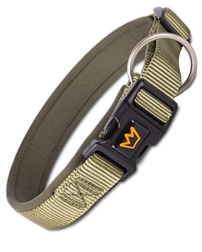 Rudelkönig Hundehalsband Bella - Verstellbares Halsband Hund klein aus Nylon - Hundehalsband kleine Hunde in Khaki von Rudelkönig