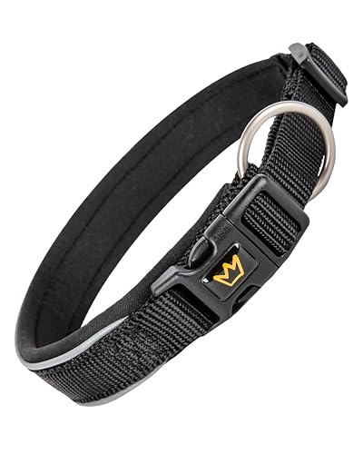 Rudelkönig Hundehalsband Paola - Verstellbares Halsband Hund klein aus Nylon - Reflektierendes Hundehalsband kleine Hunde in schwarz von Rudelkönig