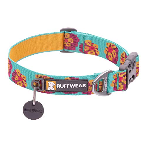 RUFFWEAR Flat Out Collar, Klassisches Hundehalsband für Kleine Hunderassen, Einstellbare Passform, Größe S (28-36 cm), Spring Burst von RUFFWEAR