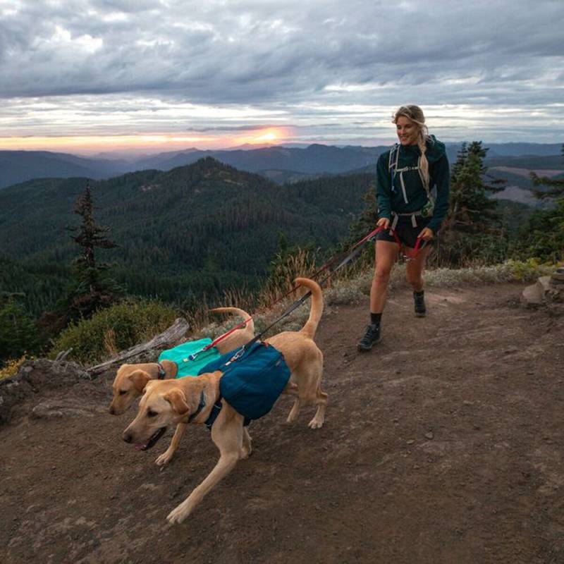 Ruffwear Front Range Day Pack - Basalt Gray - M von Ruffwear