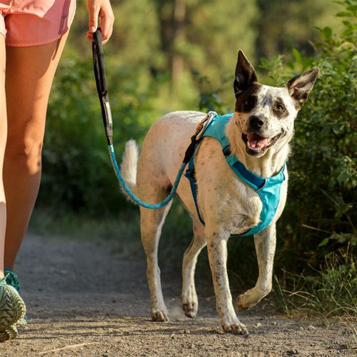 Ruffwear Hi & Light Harness - Blue Dusk - XXS von Ruffwear