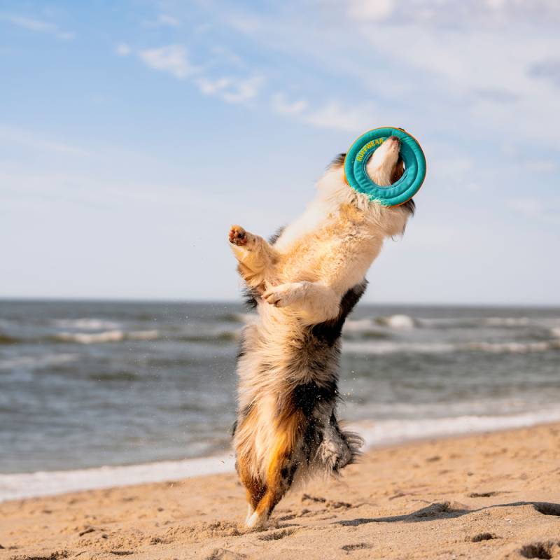 Ruffwear Hundespielzeug Hydro Plane türkis, Gr. L, Durchmesser:  ca. 31 cm von Ruffwear