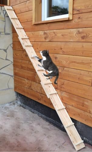 Ruhti - Katzentreppe Katzenleiter Katzenstufe für Balkon, Treppe etc.| 1 bis 7 m (2 m) von Ruhti