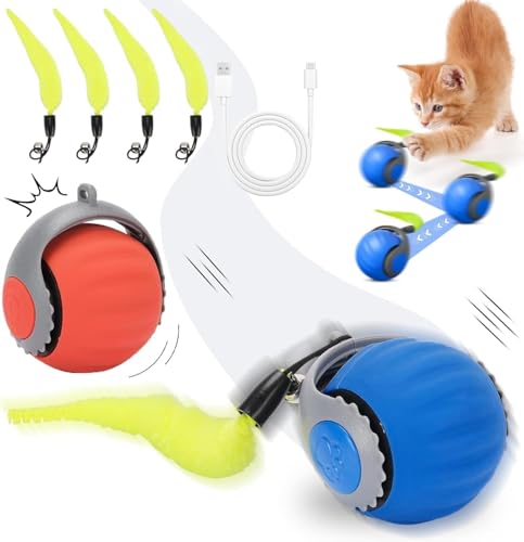 Katzenspielzeug, interaktives Katzenspielzeug, Katzenspielzeug im Inneren, mit flauschigem Schwanz, automatischer Rollball für Katzen und Hunde, USB-Ladegerät (rot + blau) von RuiDay