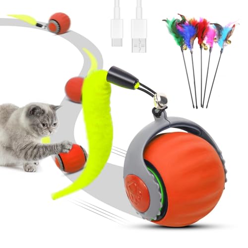 RuiDay Interactive Cat Ball Toy, Cat Toy Bird Flying Bird, with 5Pcs Feather Toys, Automatic Moving Ball Toy for Indoor, Anti Depression Pet Toy, Speed Adjustable (Orange+Cat Teaser) von RuiDay