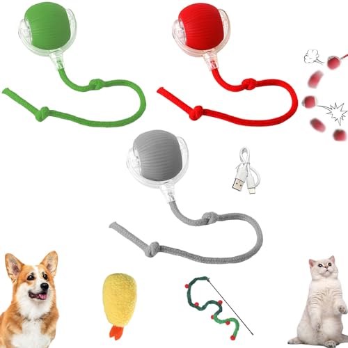 Ruileyou Smart Rolling Ball für Haustiere, Smart Automatic Rolling Pet Ball, Chase Mate Katzenspielzeug, Interaktiver Rolling Ball für Hunde, 360° Smart Automatic Rolling Pet Ball für große (3Pcs) von Ruileyou