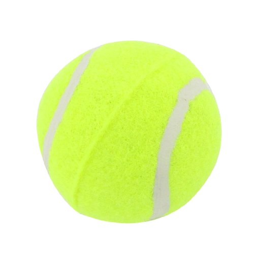 Ruilogod 2.4" Durchmesser Gelb Grün Tennisbälle Chase Run Spielzeug für Welpen Hund von Ruilogod