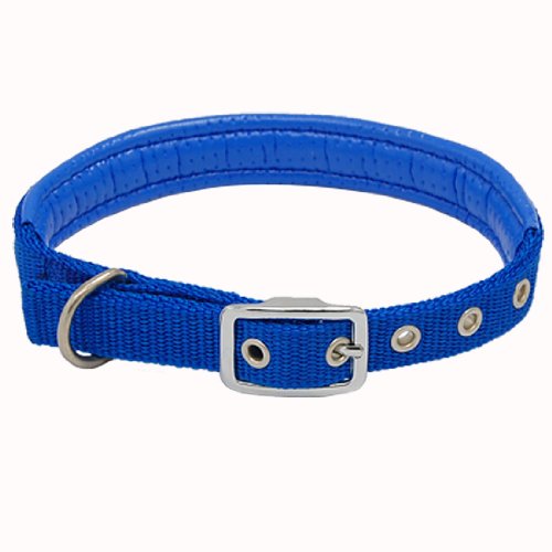 Ruilogod Blue Leder Nylon Schnalle Hund Hundehalsband Halsband Band von Ruilogod