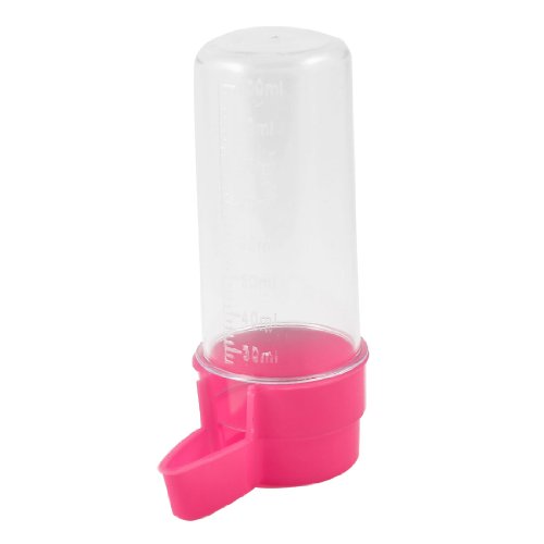 Ruilogod Fuchsia Clear Water Bottle Feeder Waterer für Cage Haustier-Vogel 100ml von Ruilogod