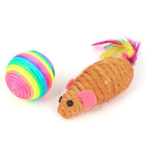 Ruilogod Haustierhundwelpen-Katze-Maus-Ball-Form-Catch-Fetch-Spielzeug 2pcs sortierte Farbe von Ruilogod