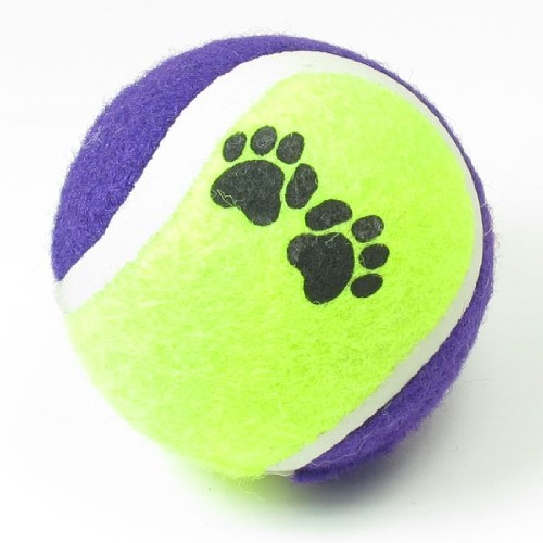 Ruilogod Hundetatzen-Druck Lila, Gelb, Grün Fang Holt Tennisball-Spielzeug für Katzen-Haustier von Ruilogod