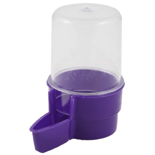 Ruilogod Lila Clear Water Trinkflasche Feeder Waterer für Cage Haustier-Vogel von Ruilogod