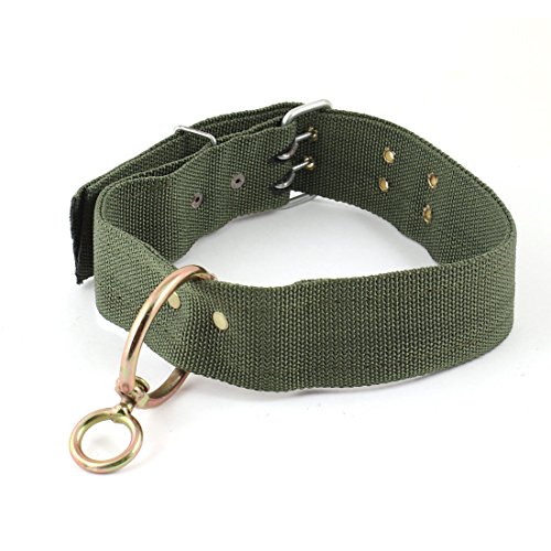 Ruilogod Metall Doppel Pin-Wölbungs-Haustier-Hundehalsband 60 cm Länge Armee-Grün von Ruilogod
