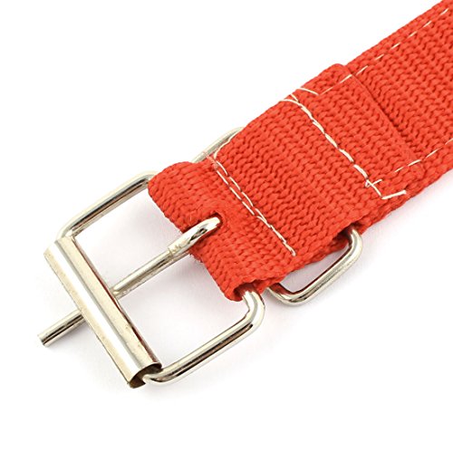 Ruilogod Nylon Gürtel Einzelne Zinkenschnalle Verstellbarer Hund Doggy Welpenhalsband Kragen Rot von Ruilogod