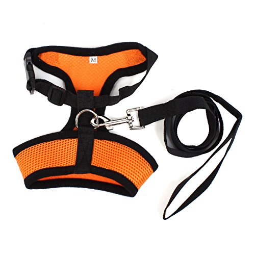 Ruilogod Orange Black Mesh Design Pet Harness Weste XS W 125cm Leine von Ruilogod