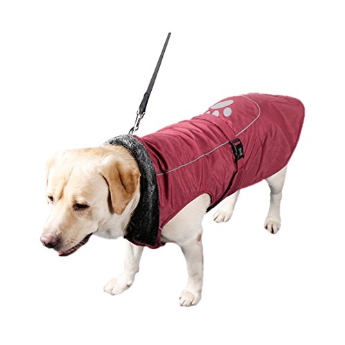 Ruilogod Reflektierende wasserdichte Hundeweste Jacke kleidet weiche warme Fleecefutter Hundemantel Professionelle Winter-Hundesportbekleidung Blau Rot XXL von Ruilogod