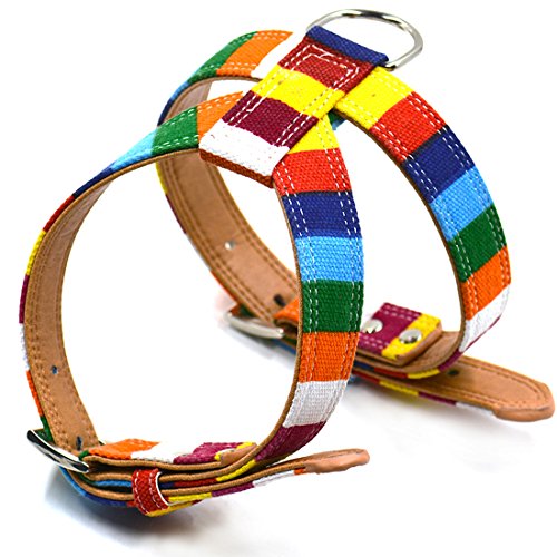 Ruilogod Regenbogen bunte No-Pull-Hundeleine-Kabelbaum einstellbar hochwertiger Hunde-Trainings-Gehkremor s von Ruilogod