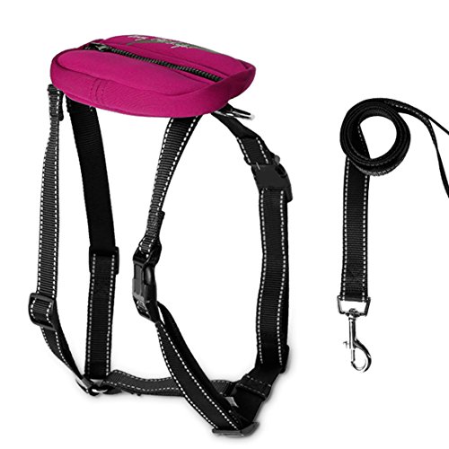 Ruilogod Sichere reflektierende Hundegeschirr-Leine einstellbar Nylonkragen zum Gehen mit Aufbewahrungstasche Fuchsia XL von Ruilogod