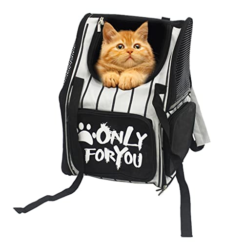 Hunderucksack | Belüfteter Katzenrucksack | Haustiertragerucksack Für Katzen Und Hunde, Welpen, Hundetragetasche Mit Belüftungsnetz, Schwarz, 40 30 27 cm von Ruilonghai