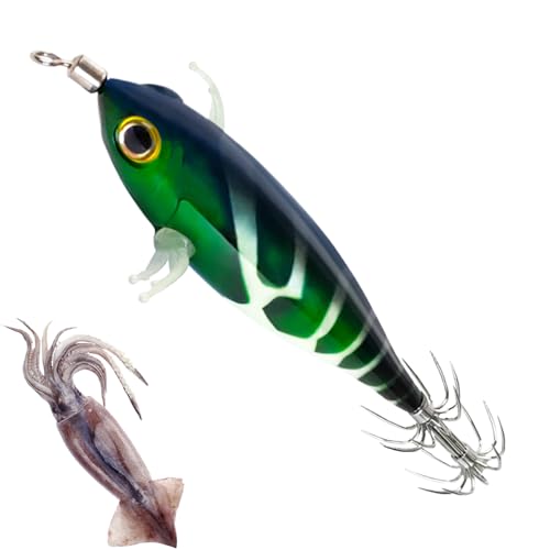 Köder Für Tintenfischangeln - Leuchtende Shrimp-Köder Mit Jig-Technik,Schwimmköder Imitation Realist. fluoreszierender Angelköder für Enthusiasten Anfänger Köder Für Tintenfischangeln - Leuchtende Shrimp-Köder Mit Jig-Technik,Schwimmköder Imitation Realist. fluoreszierender Angelköder für Enthusiasten Anfänger von Ruilonghai
