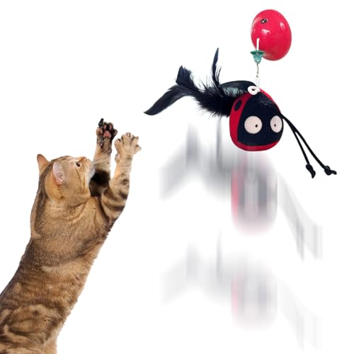 Ruilonghai Automatik Katzenspielzeug | Bereicherndes Spielzeug Piepende Plüschkatze | Berührungsaktiviert Mit Einziehschnur Beschäftigungsspielzeug Gegen Langeweile Ruilonghai Automatik Katzenspielzeug | Bereicherndes Spielzeug Piepende Plüschkatze | Berührungsaktiviert Mit Einziehschnur Beschäftigungsspielzeug Gegen Langeweile von Ruilonghai