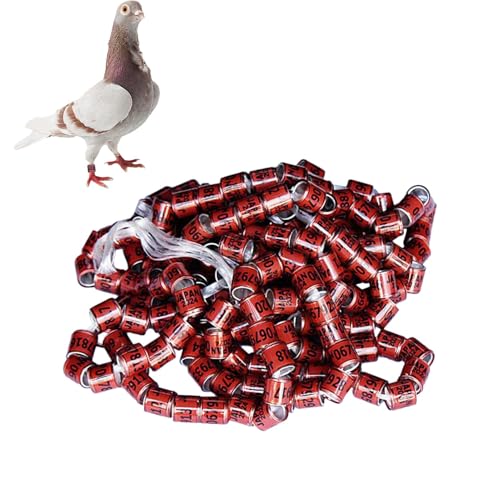 Rukjmqi 50 Stück GeflüGel FußRinge, Vogel Fußringe, Tauben Beinringe, Bands Clip On Leg Ring, Taube Identifikation Bands, Pigeon Supplies Bänder, Pe-geon-Zubehör Für Enten Küken Huhn Gans Wildgeflügel von Rukjmqi