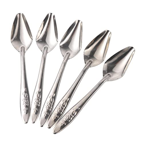 5pcs Bird Feeding Spoon Bird Parrot Water Spoon Stainless Steel Milk Powder Feeder Spoon for Cockatiel von Ruluti