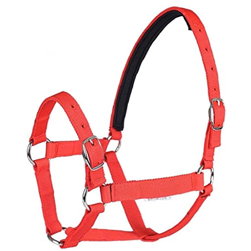 Reiten Verdickte Pferd Kopf Kragen Einstellbare Sicherheit Halfter Bridle Headcollar Racing Horse Equipment Trainingseil von Ruluti