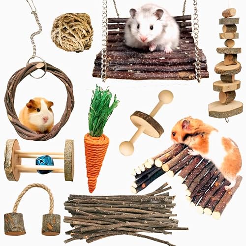 Hamster Kauspielzeug 10 Stück Meerschweinchen spielzeug Natürliche Holzhanteln Übung Glockenrolle Zahnpflege Molar Backenzahnspielzeug Spielzeug für Ratten Chinchillas Spielzeug Zubehör Kleintiere von RunFar shop