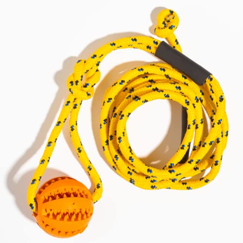 Runball Übung Langlebig Outdoor Hundespielzeug Spielzeug Beschäftigung Hund Kauspielzeug Halteschnur Zerren Leckerli Ball für mittlere und große Hunde von Runball LLC