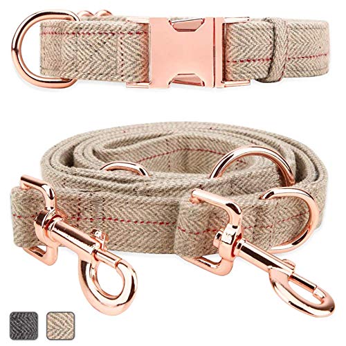 Rotgoldenes Hundehalsband und Leine (2 m) | Außergewöhnlich elegant & verstellbar | 3 verstellbare Längen Hundeleine | weich und leicht zu reinigen (Beige; XS (20,3 cm - 30,5 cm) von Runwing