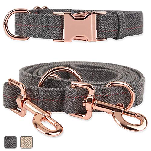 Rotgoldenes Hundehalsband und Leine (2 m) | Außergewöhnlich elegant & verstellbar | 3 verstellbare Längen Hundeleine | weich und leicht zu reinigen (grau; XS (20,3 cm - 30,5 cm) von Runwing