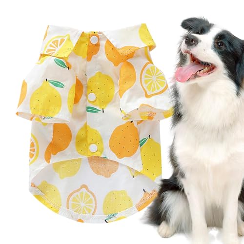 Rurunklee Fruit Dog Shirt – Atmungsaktives Haustier-Shirt für kleine Hunde – Fruchtdruck Welpen-Outfit, Haustier-T-Shirt, weiche Haustierbekleidung, Hunde-Shirt für Welpen von Rurunklee