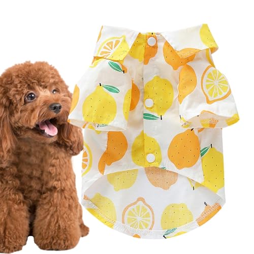 Rurunklee Sommer-Hunde-Shirt, atmungsaktive Welpenkleidung, Hundebekleidung, Welpenbekleidung, Haustier-T-Shirt, weiches Hunde-Shirt, Haustierbekleidung für kleine und mittelgroße Hunde von Rurunklee