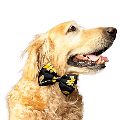 Ruse Ikebana-Fliege für Hunde, mit Blumenmuster, aus recyceltem Satin, einfach zu bedienen, gegen Scheuern, elastisches Gurt, Geschenk für Haustiere, Hunde, Schal, Krawatte (Größe L-XL) (Schwarz) von Ruse