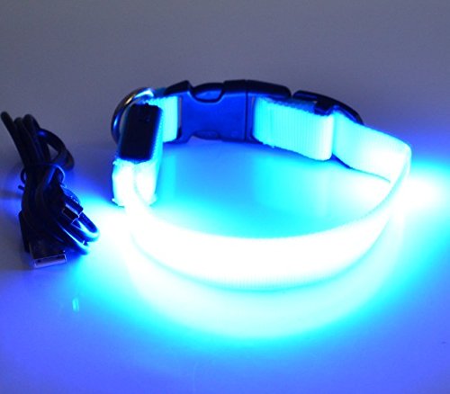 Rutis Tierwelt LED Leuchthalsband Basic 1 per USB aufladbar, Größe L, Blau von Rutis Tierwelt