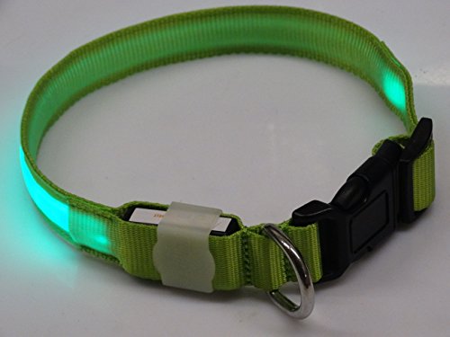 Rutis Tierwelt LED Leuchthalsband Basic 2 per USB aufladbar, Grün, Größe M von Rutis Tierwelt