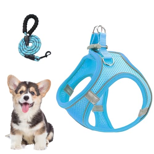 Ruwshuuk Hundegeschirr Und Leine - Reflektierendes Würgefreies Sicherheitsgeschirr,Atmungsaktives Ausbruchsicheres Geschirr Für Hunde Katzen Wandern Camping Ausflüge Training Ruwshuuk Hundegeschirr Und Leine - Reflektierendes Würgefreies Sicherheitsgeschirr,Atmungsaktives Ausbruchsicheres Geschirr Für Hunde Katzen Wandern Camping Ausflüge Training von Ruwshuuk