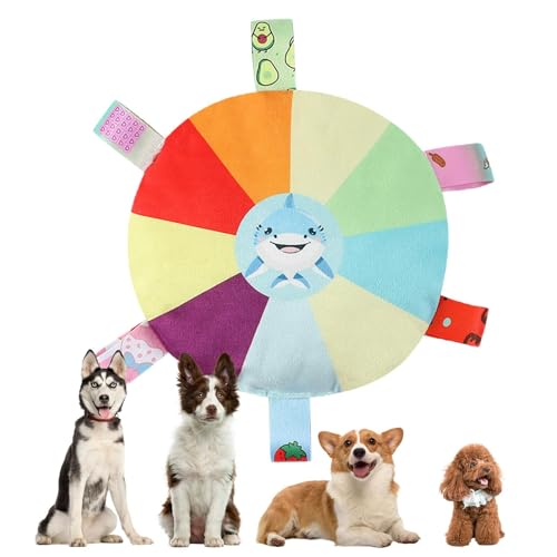 Ruwshuuk Hundespielzeug zum Apportieren – weiches Plüsch-Fliegenscheiben-Spielzeug für Outdoor-Spaß | Quietschendes interaktives Hunde-Plüsch-Kauspielzeug, Disc Hundespielzeug zum Apportieren und von Ruwshuuk