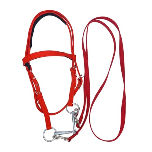 Ruyeiig Draft Horse Bridle, Horse Neckholder Bridle,Trail Riding Horse Snaffle - Einstellbarer Pferdebandband für Wanderfahrten, Reitspuren Reitreiten von Ruyeiig