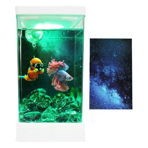 Ruyeiig Kleines Aquarium | Kampffisch Aquarium Mit Beleuchtung Und Filter Für Schreibtisch | Kleine Tischdekoration Für Arbeitszimmer Büro Wohnung Homeoffice Ruyeiig Kleines Aquarium | Kampffisch Aquarium Mit Beleuchtung Und Filter Für Schreibtisch | Kleine Tischdekoration Für Arbeitszimmer Büro Wohnung Homeoffice von Ruyeiig