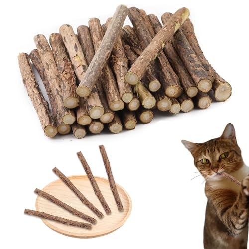 Rwoythk 30 Stück Katzenminze Sticks, Katzen Kauhölzer, Katzenminze Sticks zum Schleifen von Zähnen, Katzensticks Katzenspielzeug für Zahnpflege, Natürlicher und sicherer Katzenstab von Rwoythk