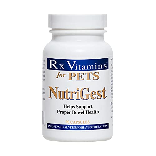 Rx Vitamins Nutrigest für Hunde und Katzen für Haustiere, unterstützt die richtige Darm- und Verdauungsgesundheit, tierärztlich formuliertes Probiotikum, 90 Kapseln von Rx Vitamins