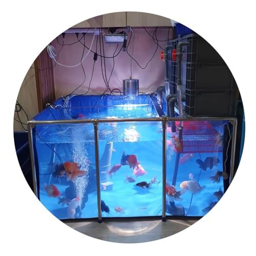 Aquarium Pool Teich, PVC-Leinwand Fischteich Mit Stahlrahmen, Klares Sichtfenster, Großer Raum - Koi/Goldfisch-Zucht, Garten Im Freien (Farbe : Blau, Größe : 140x140x35cm) von Rygcrud