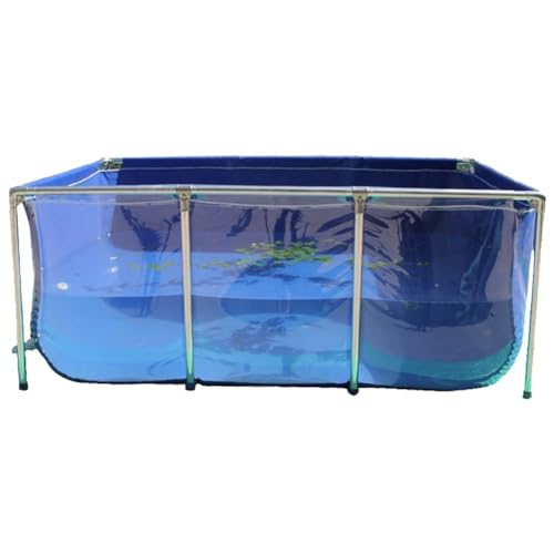 Innenaquarium - Zucht Wassertank, Koi-Goldfisch-Ausstellungsbecken - Klar Sichtfenster, Teichfolien & Stahlrahmen, Leicht Zusammenzubauen (Farbe : Blau, Größe : 80x50x35cm) von Rygcrud