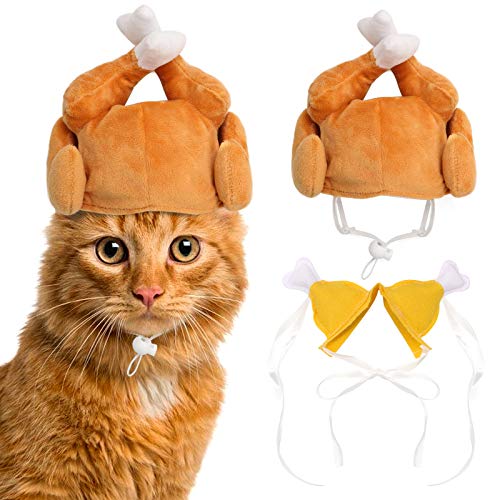 RYPET Thanksgiving Katzenkostüm 2 Pack – Haustier Truthahn Hut Katzenbekleidung für Katzen und kleine Hunde von Rypet