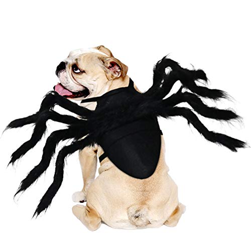 Rypet Haustier Spinne Kostüm - Halloween Spinne Kostüm für Katzen und kleine bis mittelgroße Hunde Halloween Party Dress Up Festival Dekoration Cosplay Haustier Kostüm von Rypet